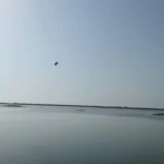 explore-chilika-lake-and-satapada-from-babita-nature-resort