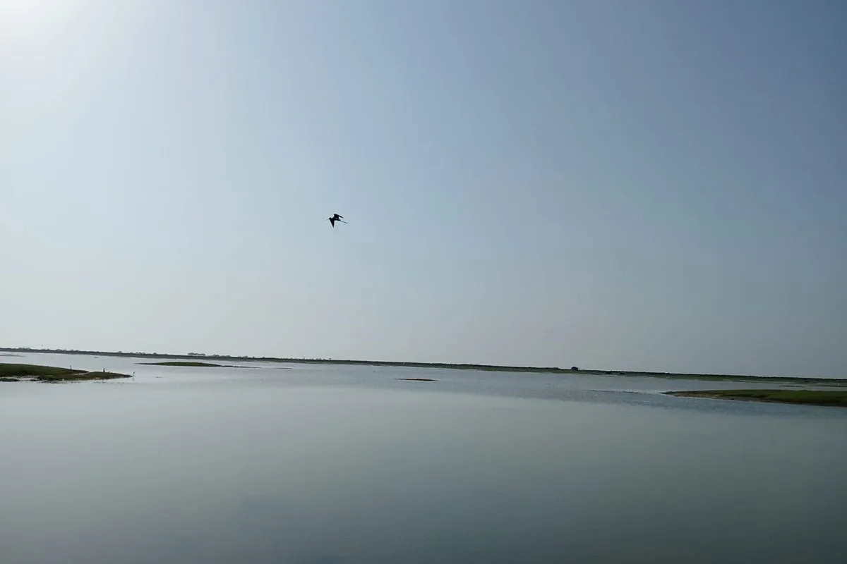 explore-chilika-lake-and-satapada-from-babita-nature-resort
